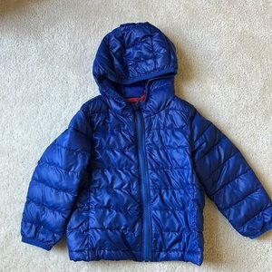Primary cobalt blue 18-24 month puffer jacket